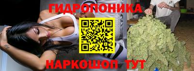 шишки Ижевск