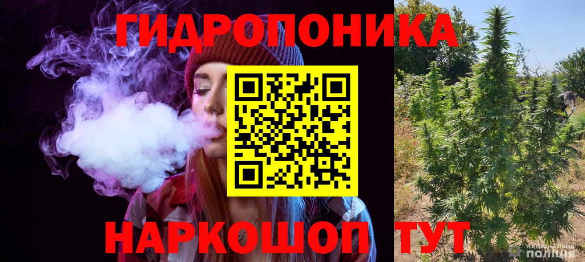 Барнаул  Бошки Шишки индика  Канабис OG Kush  Вход с VPN  Бошки марихуана план  Бошки марихуана SATIVA & INDICA 